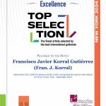 Winner – Top Selection New York 2024